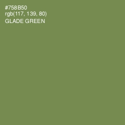 #758B50 - Glade Green Color Image